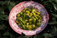 Gnocchi al pesto